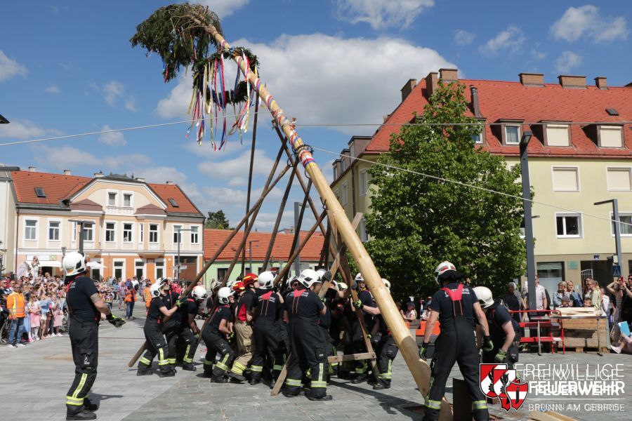 Maibaumsetzen